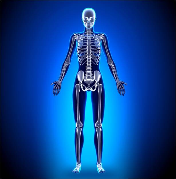Kanceri i kockave në trupin human
